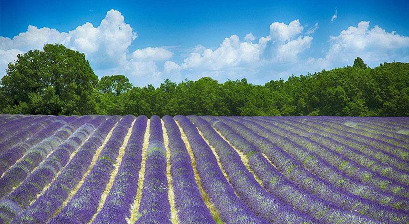 1525833294096073941.jpg 详情图瓦伦索3.jpg